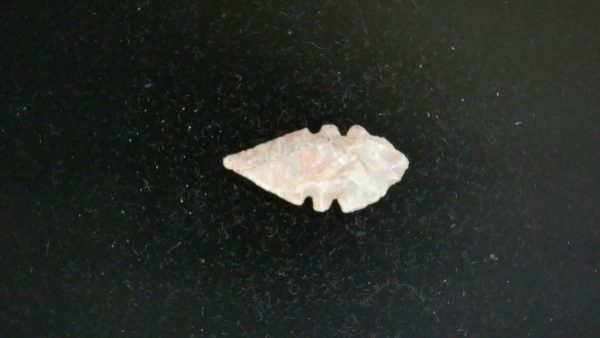 Mesolithic Serrated Bird Point #34