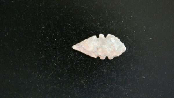 Mesolithic Serrated Bird Point #34 - Image 2