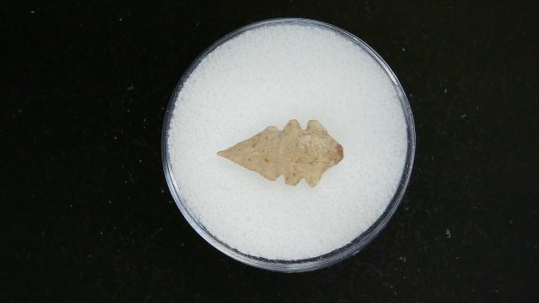 Mesolithic Serrated Bird Point #35