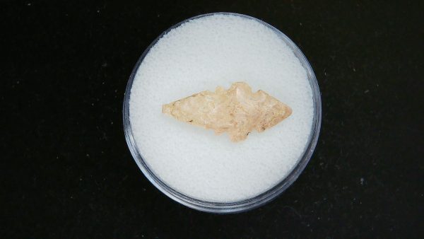 Mesolithic Serrated Bird Point #36 - Image 2