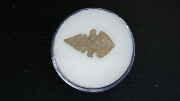Mesolithic Serrated Bird Point #37