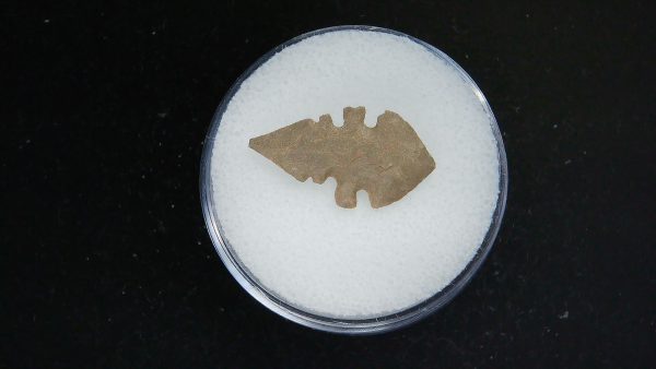 Mesolithic Serrated Bird Point #37 - Image 2