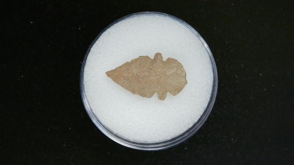 Mesolithic Serrated Bird Point #40