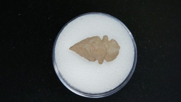 Mesolithic Serrated Bird Point #40 - Image 2