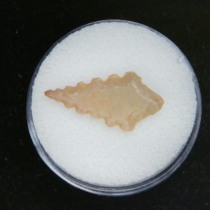 Mesolithic Serrated Bird Point #41