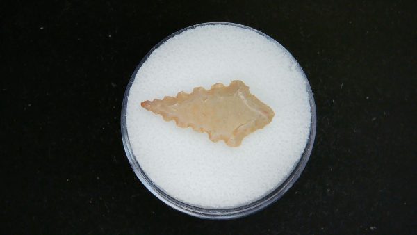 Mesolithic Serrated Bird Point #41