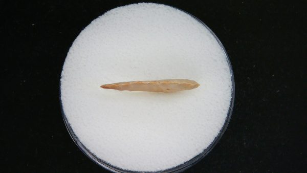 Mesolithic Serrated Bird Point #41 - Image 3