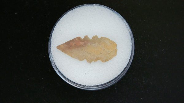 Mesolithic Serrated Bird Point #42