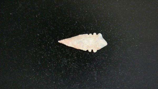 Mesolithic Serrated Bird Point #43