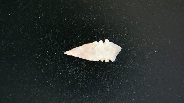 Mesolithic Serrated Bird Point #43 - Image 2