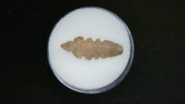 Genuine Morocco Sahara Desert Mesolithic Serrated Base Point For Sale #45