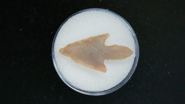 Mesolithic Straight Stemmed Point #46 - Image 2