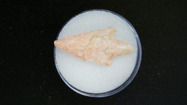 Mesolithic Straight Stemmed Point #49