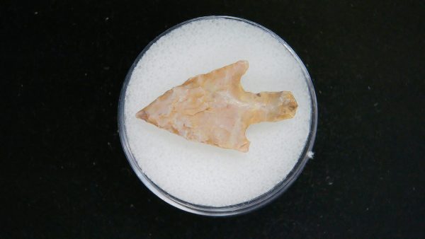 Mesolithic Straight Stemmed Point #50