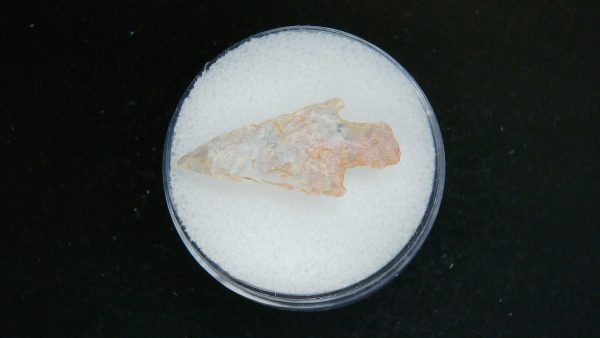 Mesolithic Straight Stemmed Point #51