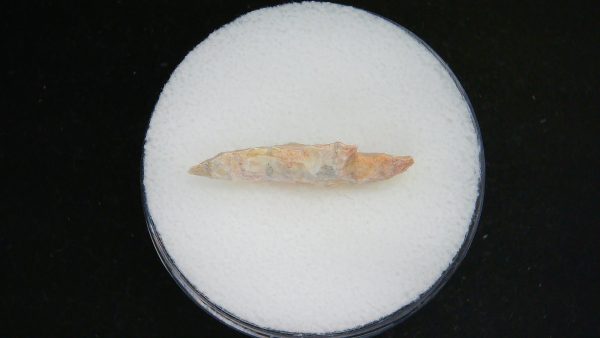 Mesolithic Straight Stemmed Point #51 - Image 3