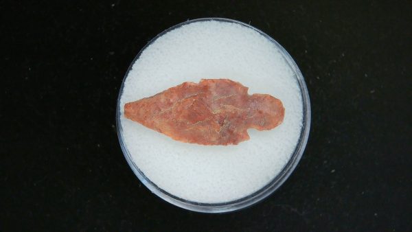 Mesolithic Straight Stemmed Point #53
