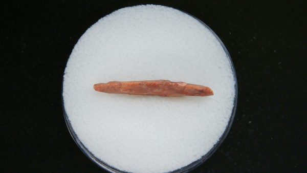 Mesolithic Straight Stemmed Point #53 - Image 3