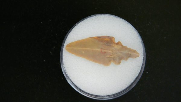 Mesolithic Straight Stemmed Point #54