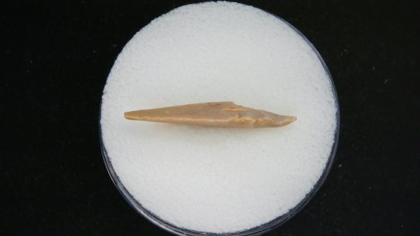 Mesolithic Straight Stemmed Point #54 - Image 3
