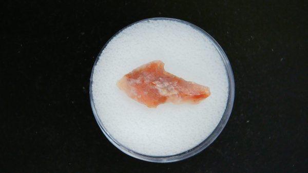 Mesolithic Straight Stemmed Point #55