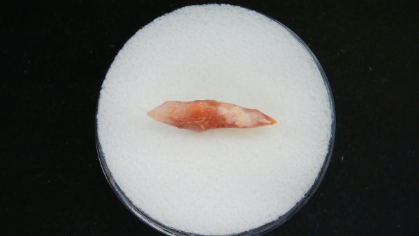 Mesolithic Straight Stemmed Point #55 - Image 3