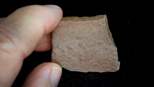 Acripes triassicus Arthropod Track Fossils for Sale 1 - Image 2