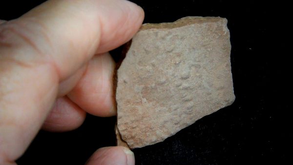 Acripes triassicus Arthropod Track Fossils for Sale 1 - Image 3