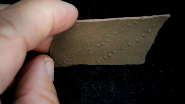 Acripes triassicus Arthropod Track Fossils for Sale 2 - Image 3