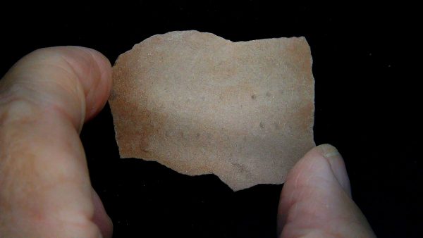 Acripes triassicus Arthropod Track Fossils for Sale 7 - Image 2