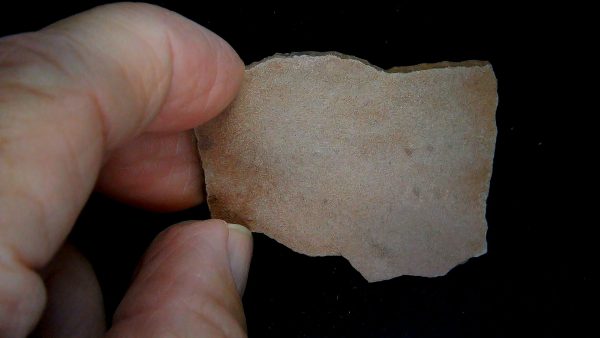 Acripes triassicus Arthropod Track Fossils for Sale 7 - Image 3
