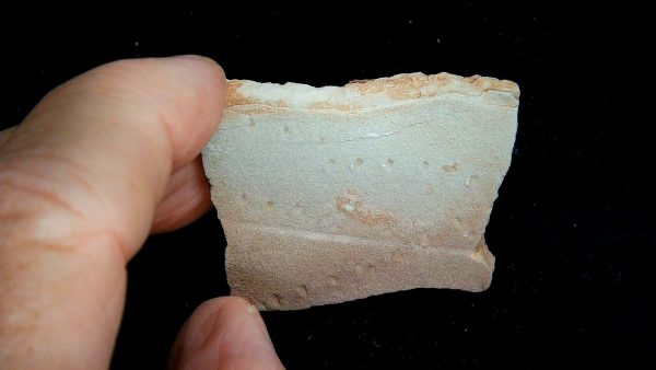 Acripes triassicus Arthropod Track Fossils for Sale 9 - Image 4