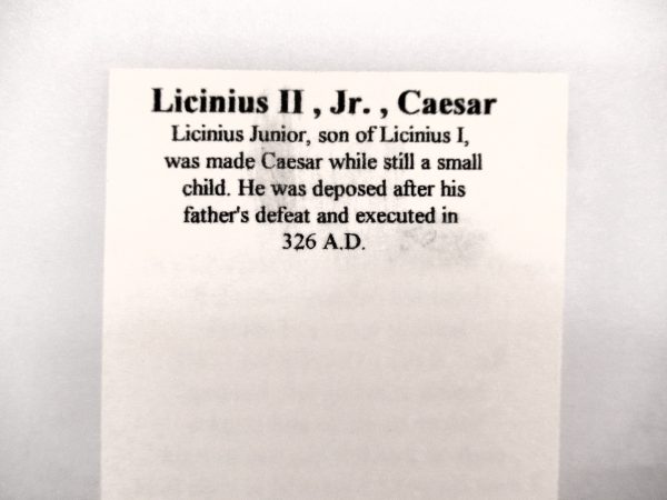 Licinius II – Roman Coin #35 - Image 3
