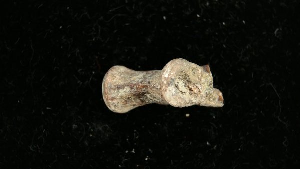 Dimetrodon Synapsid Vertebra #4 - Image 3