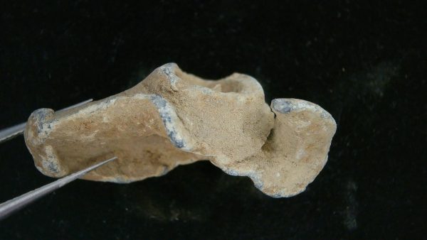 Civil War High Impact Bullet #12 - Image 3