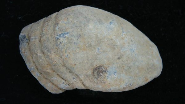 Civil War High Impact Bullet #2 - Image 2
