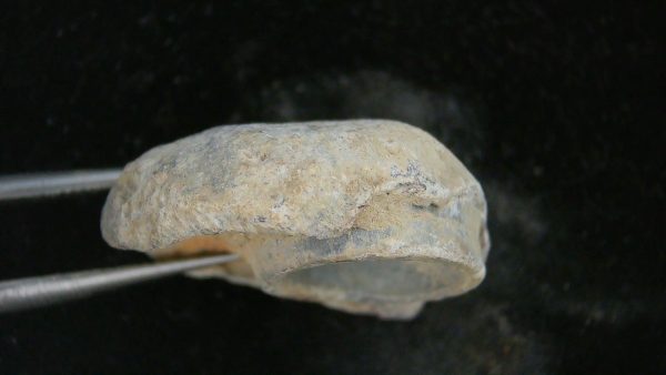 Civil War High Impact Bullet #3 - Image 3
