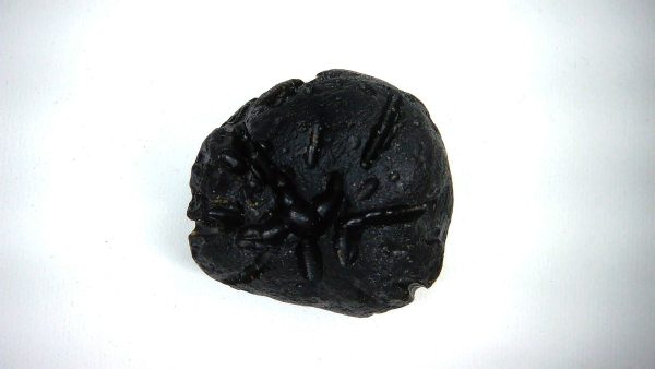Black Tibetan Tektite Metaphysical For Sale from East Asia #53 - Image 2