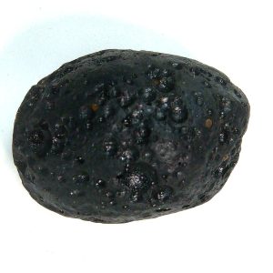 Black Tibetan Tektite Metaphysical For Sale from East Asia #67