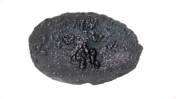 Black Tibetan Tektite Metaphysical For Sale from East Asia #71 - Image 2