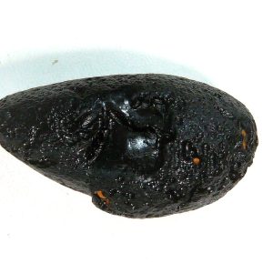 Black Tibetan Tektite Metaphysical For Sale from East Asia #76