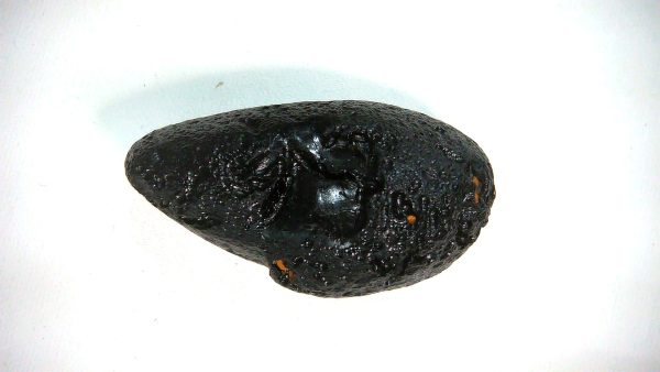 Black Tibetan Tektite Metaphysical For Sale from East Asia #76