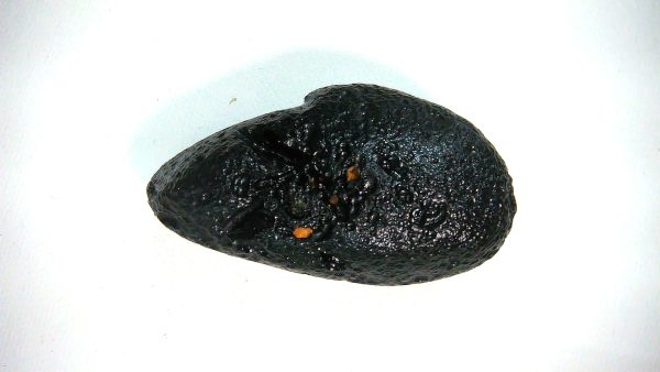 Black Tibetan Tektite Metaphysical For Sale from East Asia #76 - Image 2