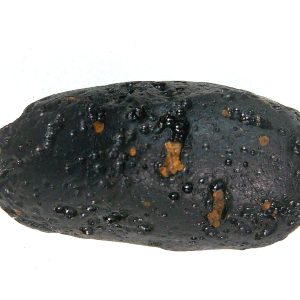 Black Tibetan Tektite Metaphysical For Sale from East Asia #79