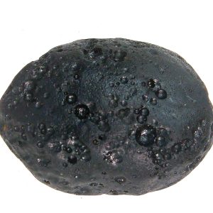 Black Tibetan Tektite Metaphysical For Sale from East Asia #83