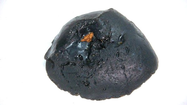 Black Tibetan Tektite Metaphysical For Sale from East Asia #88