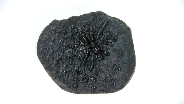 Black Tibetan Tektite Metaphysical For Sale from East Asia #89 - Image 2