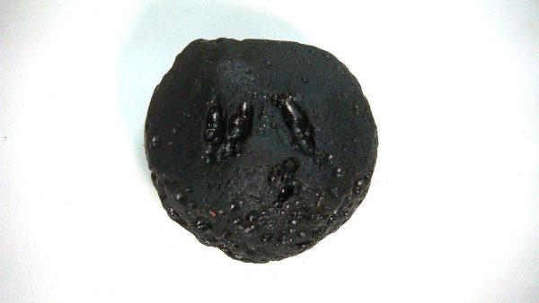 Black Tibetan Tektite Metaphysical For Sale from East Asia #92 - Image 2