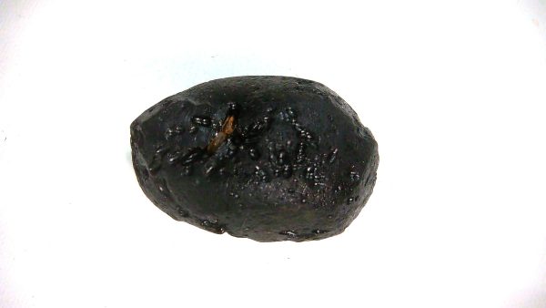 Black Tibetan Tektite Metaphysical For Sale from East Asia #95 - Image 2