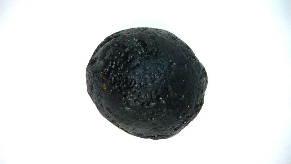 Black Tibetan Tektite Metaphysical For Sale from East Asia #98